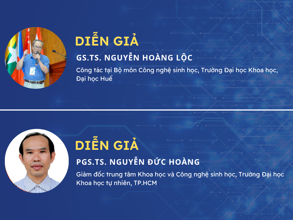 Vinaora Nivo Slider 3.x